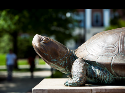Side view of Testudo statue