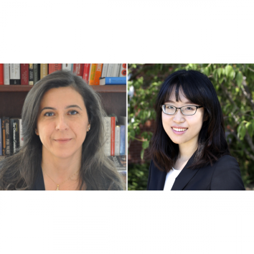 professors kalemli-ozcan and lee