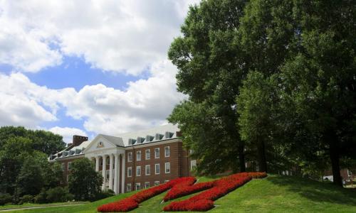 M circle garden